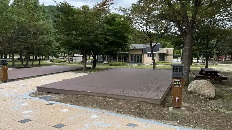 야영장 전체를 감싸는 울창한 백년 소나무 숲 힐링 산책로