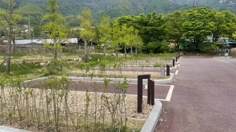 백년 소나무 숲 그늘 아래 여유롭게 산책하는 솔밭 힐링로드