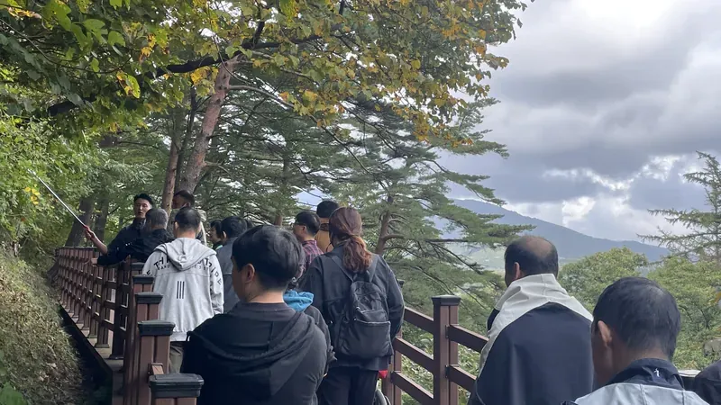 대관령 백두대간 청정 능선을 조망하는 숲길 산책로