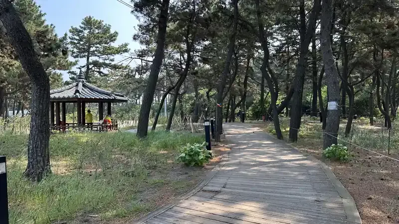 해안 수변 데크 산책로