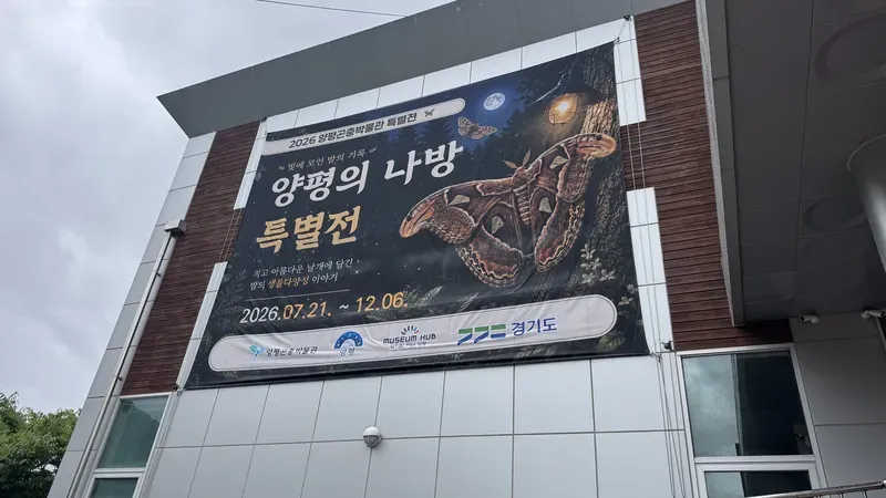 빛에 모인 밤의 기록 양평의 나방 특별기획전시관