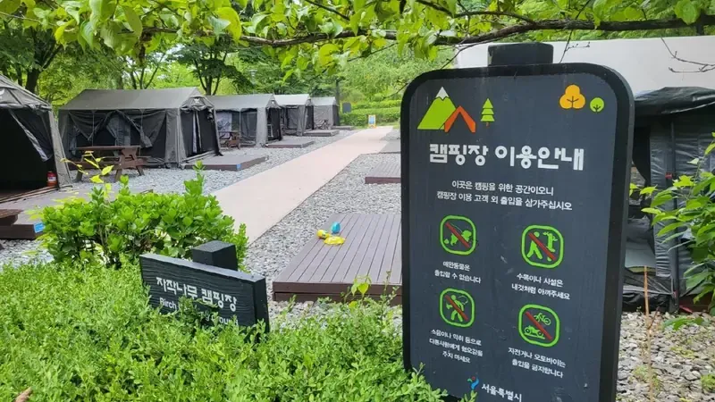텐트와 매트가 사전 설치되어 무거운 장비 없이 몸만 가도 편리한 가족·매화 캠핑존