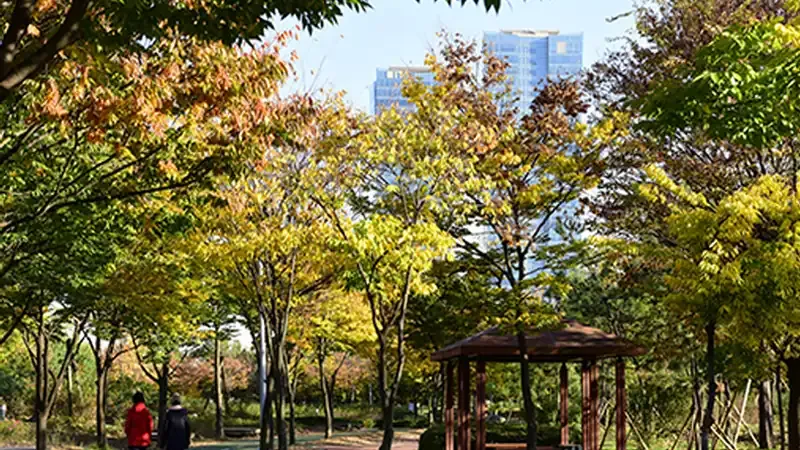 피톤치드 가득한 메타세쿼이아 숲길 및 킥보드·자전거 트랙