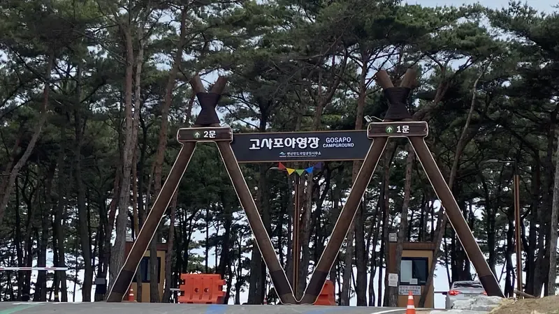 고사포 해변과 직결되는 피톤치드 해송 숲 산책로 및 진입 목교