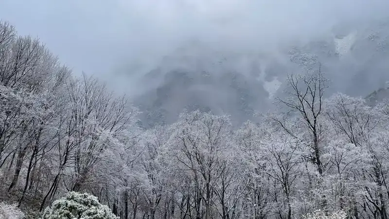 청도숲체원 아이들과 걷기 좋은 숲속 관찰로