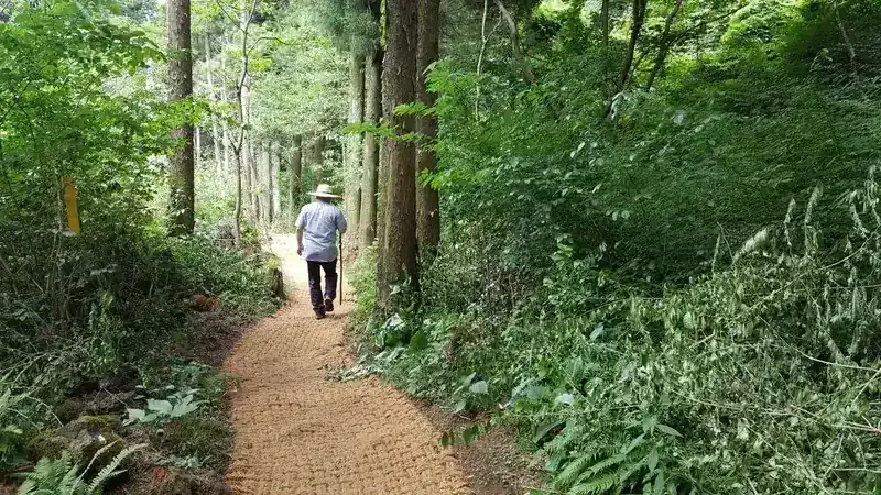 자연 그대로의 흙과 화산송이를 밟으며 걷는 장생의 숲길