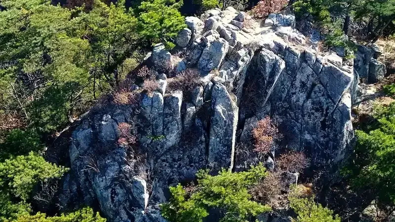 정지용 시인의 숨결이 깃든 무장애 치유 숲길