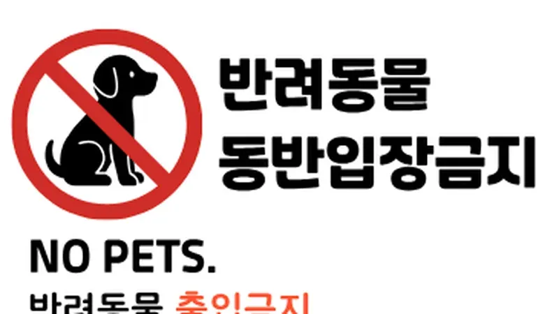 계곡 물소리를 들으며 걷는 피톤치드 탐방로