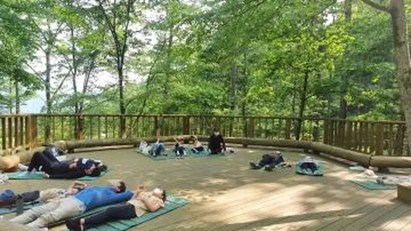 피톤치드 숲속 대형 목재 데크 평상 누워 즐기는 산림욕