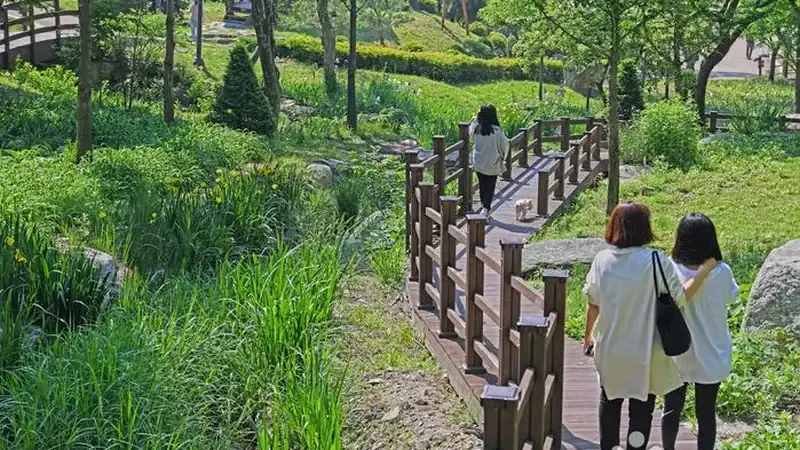 생태습지 관찰 데크로드를 산책하는 가족 관람객