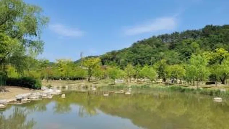 수련과 수생식물이 자라나는 자연 친화적 생태습지원
