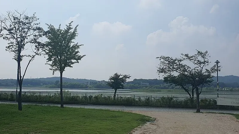 철새 서식지를 조망할 수 있는 수생식물 연꽃 습지대